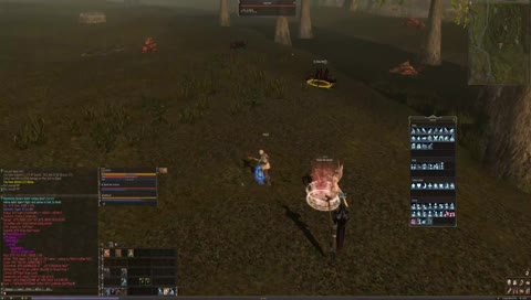 Lineage2 NCsoft Classic (Aden) 3rd Day
