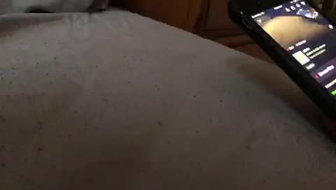 xtb4x's mobile stream