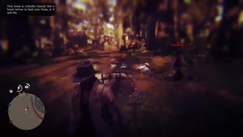 lets lasso some fools| !break