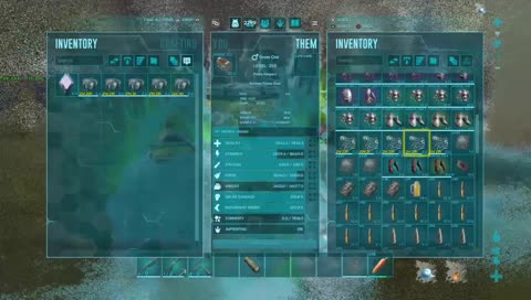 Pvp raiding    Paypal.Me   korbyn.martin@yahoo.com