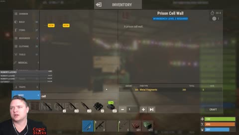 Rust day 5ish day 2?
