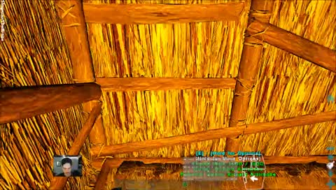 New ARK Server today!