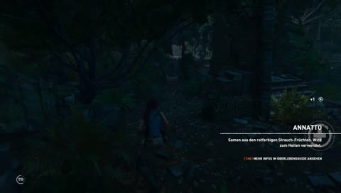 Das erste mal Tomb Raider? | D4rkLama | Live Stream