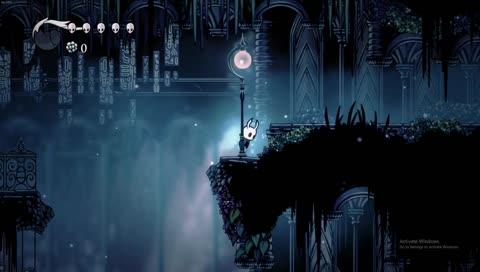 hollow knight