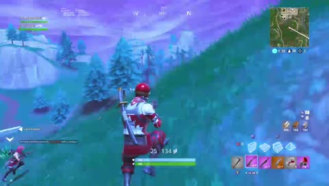 Average fortnite player