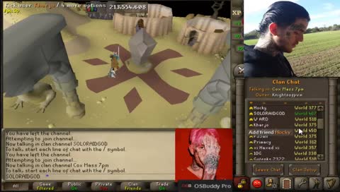 Solo raids | !olmlet