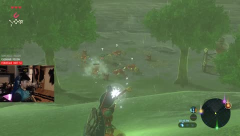 No Nut Novermber is over!! First Time Playthrough of Zelda BOTW