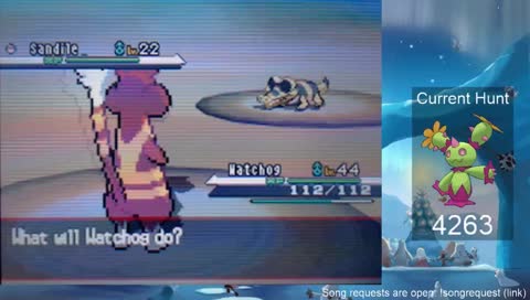 Full Odds Hunting Maractus (Phase 4)