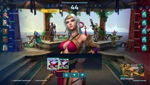 just playing paladins