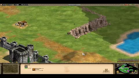 playing age of empires 2.