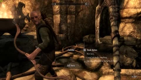 Skyrim is fun