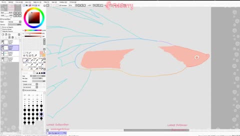 Ask A Girl Anything ish