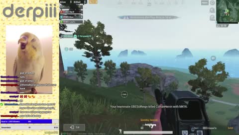 G25 Scrims // Pro Player