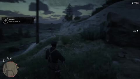 PS4 Read Dead Redemption 2