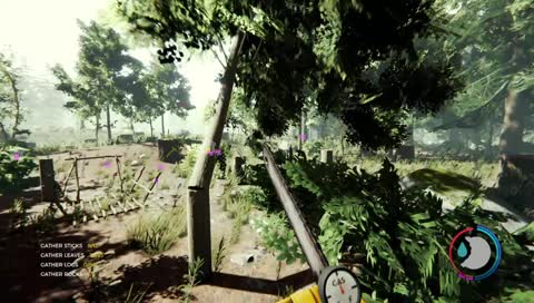 Yeeting on the forest