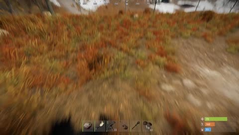 Rust, trying to reach the tops whilst looking swell!