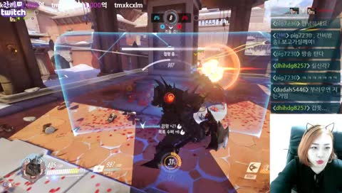 🌸옵치 ㅈ망겜🌸