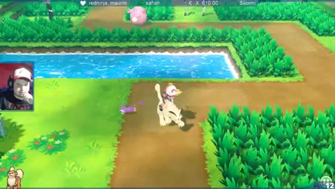 4/152 A la recherche de de Caninos shiny !