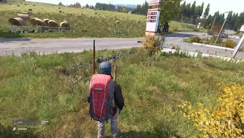 Nimiehdotuksia ? DayZ + muuta ehkä