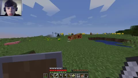 Minecraft Vanilla Survival like a boss!!