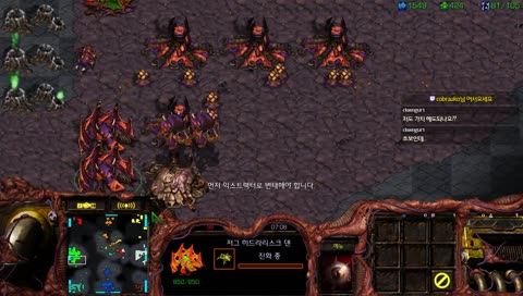 스타 빨무 빠른 무한 스타크래프트 50대 팀플