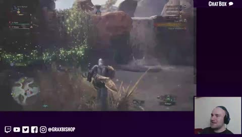 Fashion lessons on Monster Hunter