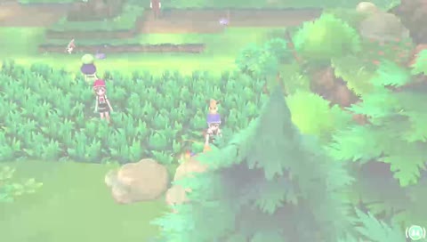Lets Go Eevee. Buscando Charmander Shiny Hunt