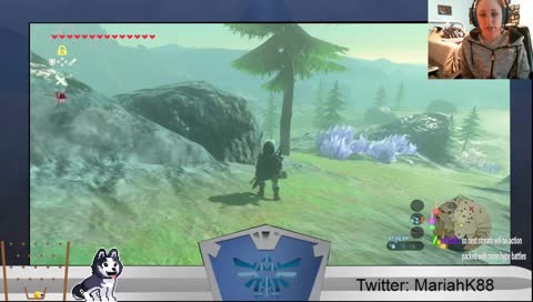 BOTW adventures & Celebrating!