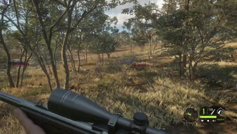 [FR-PC] Dans la savane 