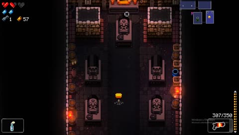 Enter Gungeon