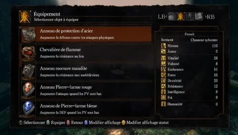Dark Souls - Guerrier NG+1
