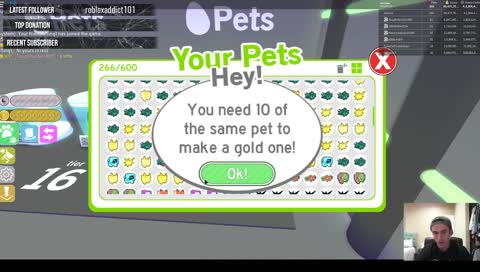 PET SIMULATOR WITH HUGE CAT PET!! COME CHILL