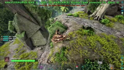 ARK Raiding Evolved Server Resource Collection
