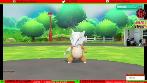 Mastered all 8 Gyms....leveling pokemon now