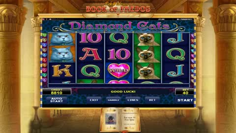 My birthday stream (35 yo) sponsored by magicalnuts the omega sexy :D