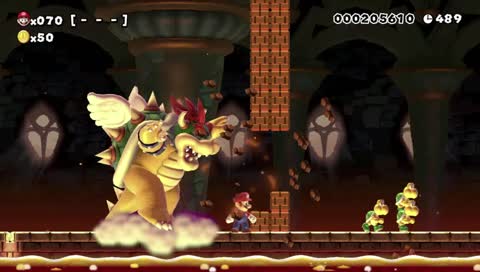 Expert Runs