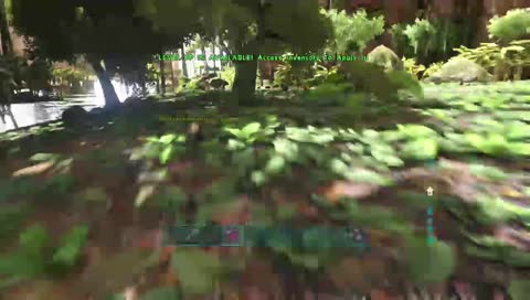 ark steam 4 dev�FFFFC3�FFFFB6n