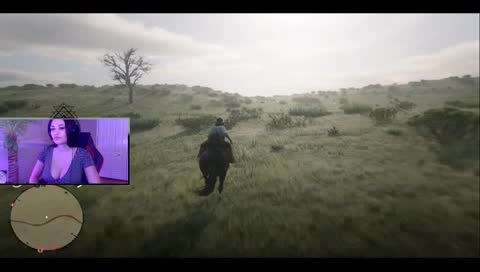 Red Dead Online Beta!