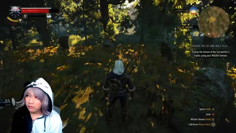 [TW3] The Witcher 3 (PC - Blind Playthrough) - Day 9! Assemble the Sorceresses! Nearing the end maybe? Who knows! (NO SPOILERS!)