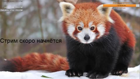 Контент, который вы заслужили! ╰( ͡° ͜ʖ ͡° )つ──☆*:・ﾟ