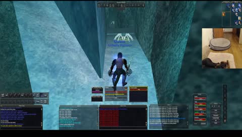 Coirnav 46 Shadow Knight Grinding XP