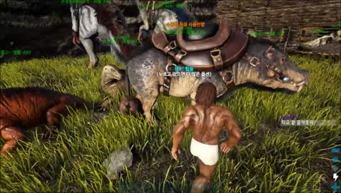 아크 22일 레이드 이번엔 가보자!!