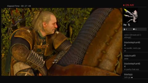 The witcher 3 replay