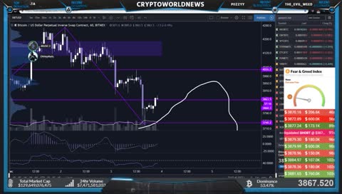 Let's Look at the Market! cryptotraders