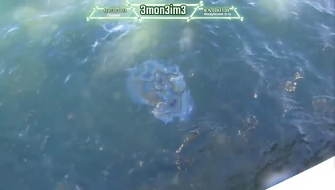 Early Acces Stream | dis my day :) [3mon]