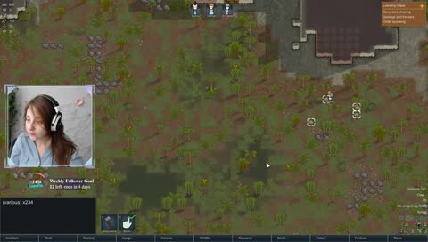 Playing #RimWorld for the first time! 