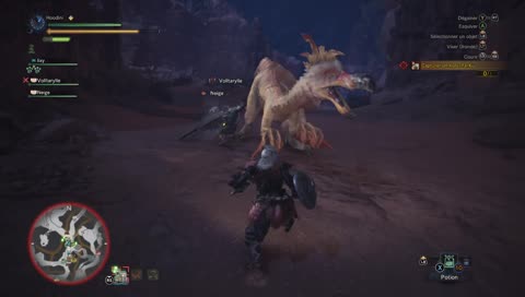 [FR] Monsrter hunter world / Hoodini et Volltarylle