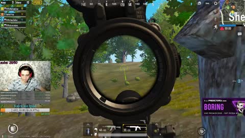 Вечерний ворон, почти вовремя