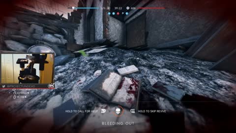 BFV | Xbox One | Kitten Cam