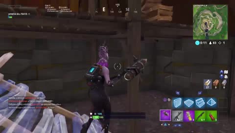 Venez les amiches  road to 100 follower